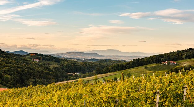 Vue depuis la célèbre rue du vin du Styre du Sud Ratsch Autriche tourisme