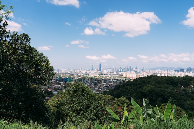 Vue depuis une colline avec des arbres d'une ville avec des gratte-ciel