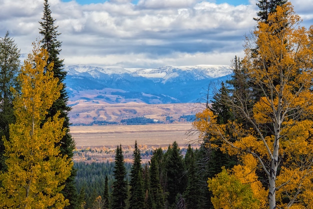 Vue depuis le Death Canyon Trail sur Jackson Hole Valley