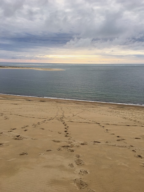 Vue depuis la dune du pyla, la plus haute d&#39;Europe Europe France