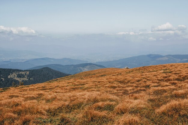 Vue depuis la montagne Hoverla. Montagnes carpates.