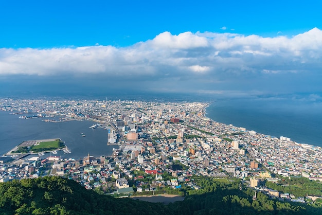 Vue depuis le pont d'observation du mont Hakodate en journée ensoleillée la vue expansive pendant la journée