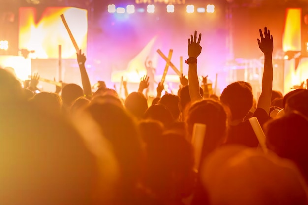 Vue de derrière des gens qui apprécient un concert de musique