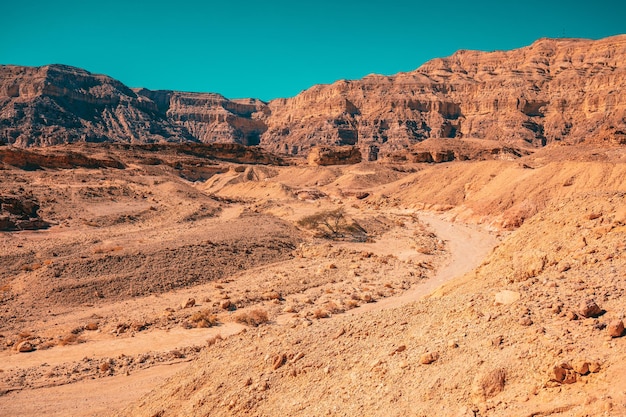 Vue sur le désert par une belle journée ensoleillée Timna Park dans le désert d'Arava près d'Eilat Israël