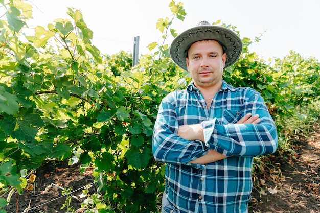 Vue de dessus d'un agriculteur vinifié regardant la caméra dans un vignoble jeune homme avec un chapeau par un été ensoleillé...