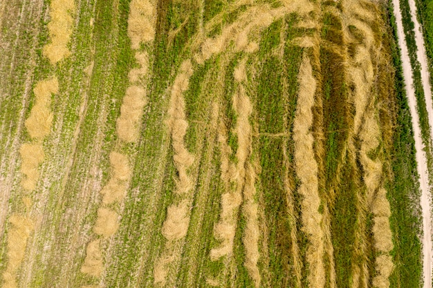 Vue de dessus de l'agriculture sur le terrain de la ferme