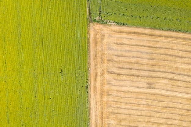 Vue de dessus de l'agriculture sur le terrain de la ferme