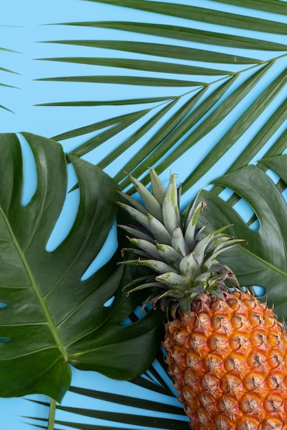 Vue de dessus de l'ananas frais avec palmiers tropicaux et feuilles de monstera sur fond de table bleu.