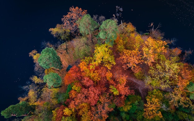 Vue de dessus des arbres forestiers colorés et du lac en automne Ukraine