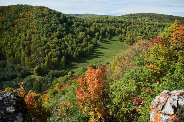 Une vue de dessus des arbres forestiers colorés et du lac en automne.