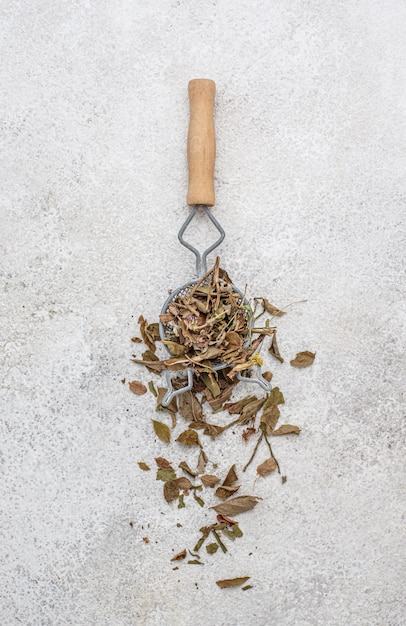 Vue de dessus arrangement de plantes séchées