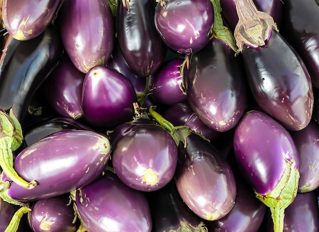 vue de dessus des aubergines