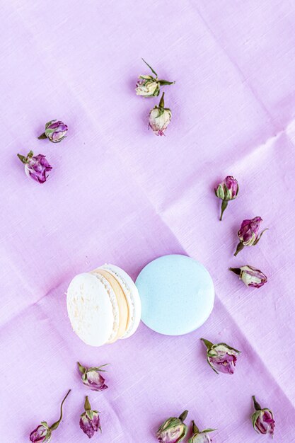 Vue de dessus aux macarons et roses séchées sur couleur pastel