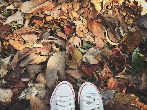 Vue de dessus des baskets blanches sur le sol avec un congé d&#39;automne