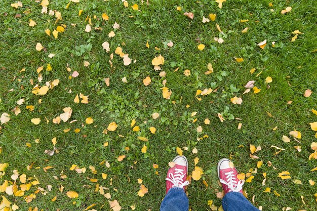 Vue de dessus sur les baskets rouges de l'homme sur l'herbe verte avec des feuilles jaunes d'automne Concept d'automne et de style de vie