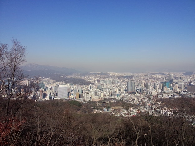 Vue de dessus de la belle nature au centre-ville