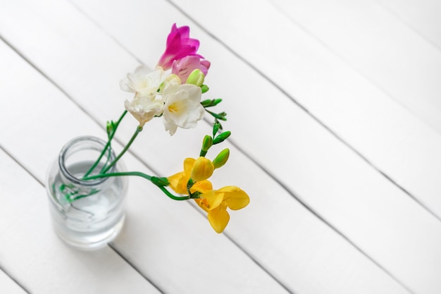 Vue de dessus de belles fleurs de printemps sur fond de bois blanc avec un espace pour le texte, mise au point sélective