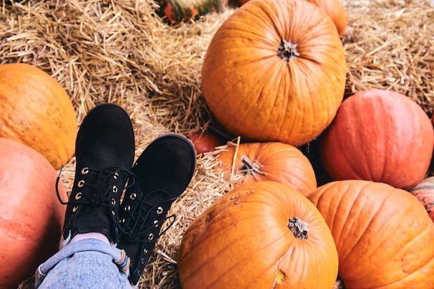 Vue de dessus de Boot au marché agricole sur le foin. Gros plan jambes en jeans et chaussures en vacances de Thanksgiving et décor d'Halloween.