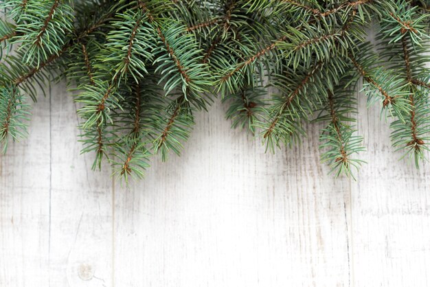 vue de dessus branches de sapin de Noël