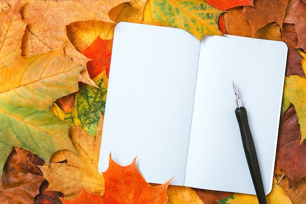 Vue de dessus d'un cahier avec des feuilles d'automne et un stylo à encre. Feuilles d'érable colorées et pages blanches du journal intime. Maquette d'automne, espace de copie, concept d'éducation