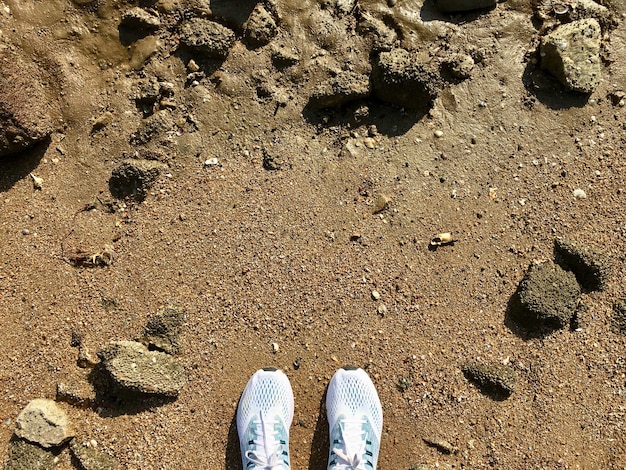 Photo vue de dessus des chaussures blanches sur la plage de sable et de nombreuses roches