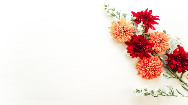 Vue de dessus des chrysanthèmes avec espace de copie