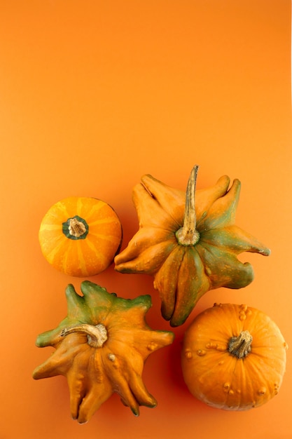 Vue de dessus de citrouilles