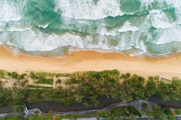 Vue de dessus des cocotiers sur la plage Phuket Thaïlande Vagues de texture de la mer Moussant et éclaboussant sur la plage Belle vague de fond de surface de la mer.