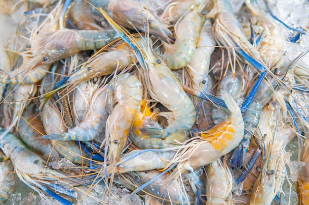 Vue de dessus des crevettes crues sur glace pilée