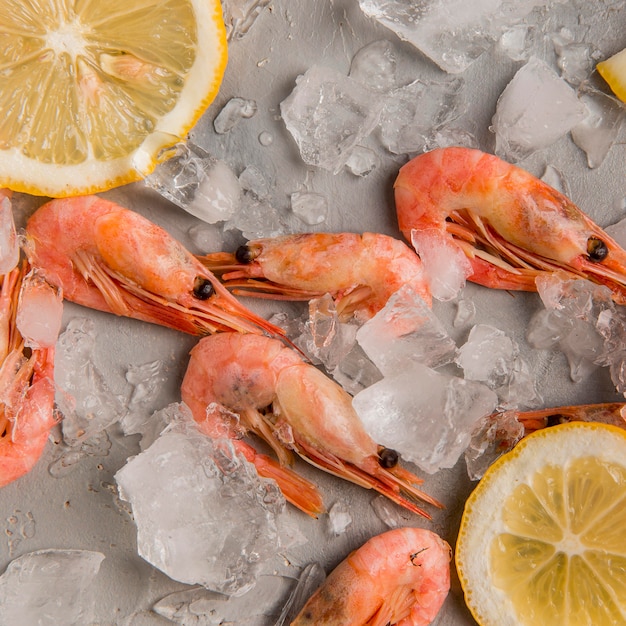 Photo vue de dessus crevettes sur glace