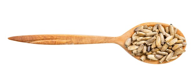 Photo vue de dessus d'une cuillère en bois avec des graines de chardon-marie