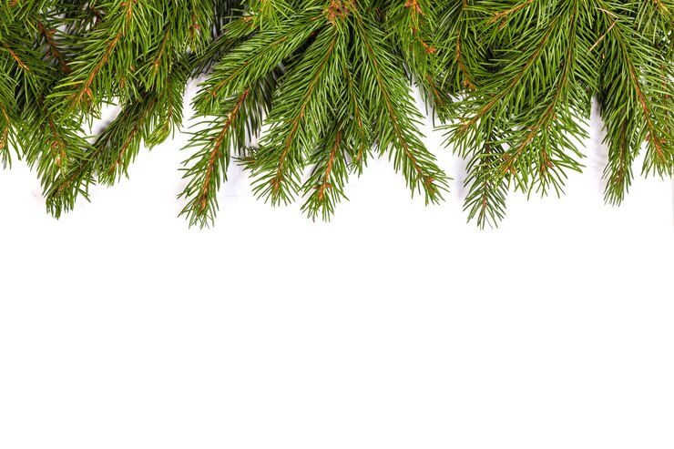 Photo vue de dessus décorations de noël