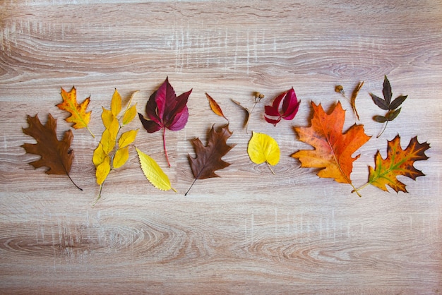 Vue de dessus de divers fruits et feuilles d'automne colorés dans un panier en osier sur une table en bois. Copiez l'espace.