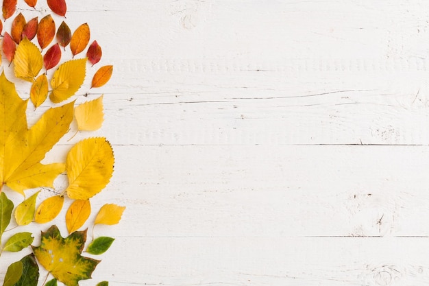 Vue de dessus sur diverses feuilles colorées d'automne situées à gauche sur un vieux fond en bois blanc