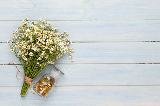 Vue de dessus du bouquet de fleurs de camomille