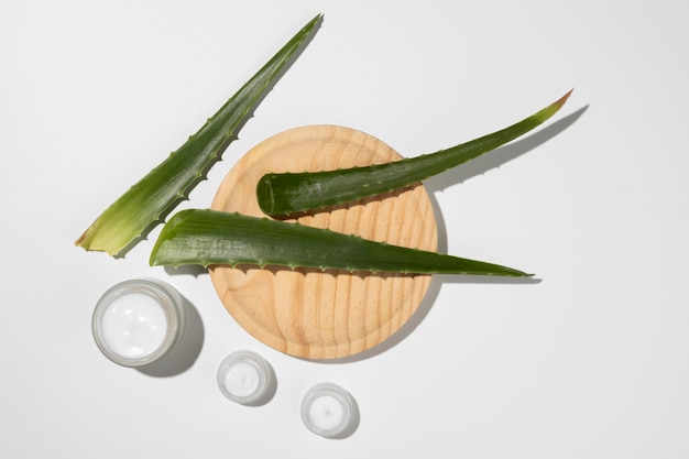 Vue de dessus du concept de beauté d'aloe vera