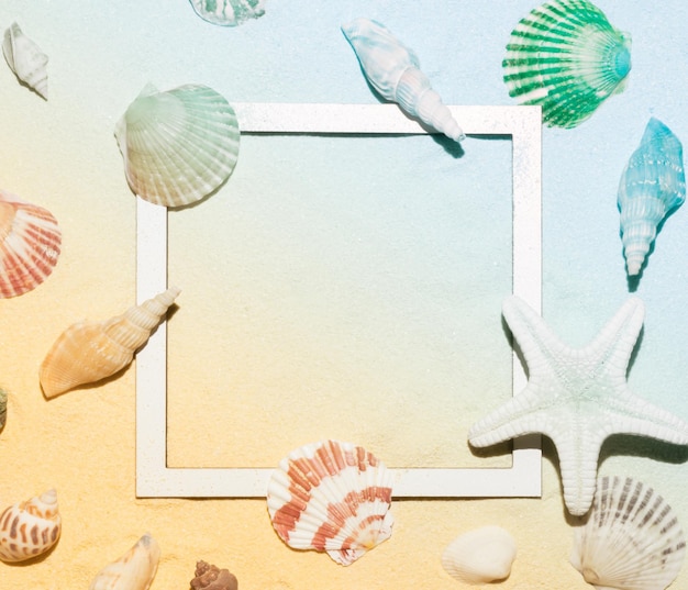 Photo vue de dessus du motif de coquillages sur fond de sable arrangement plat tropical minimal copiez l'espace