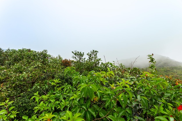 Vue de dessus du parc national de Khao Luang, Nakhon Si Thammarat, Thaïlande