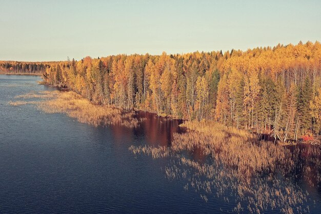 vue de dessus du paysage, drone de la forêt d'automne de la rivière, beau voyage