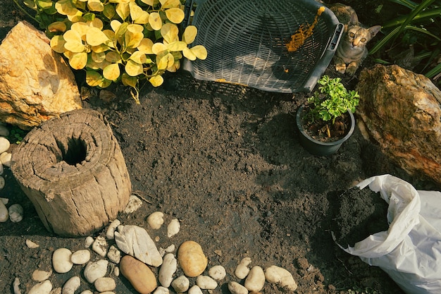 Photo vue de dessus du petit jardin