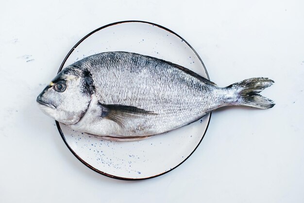 Vue de dessus du poisson dorado cru sur une plaque ronde blanche sur fond blanc