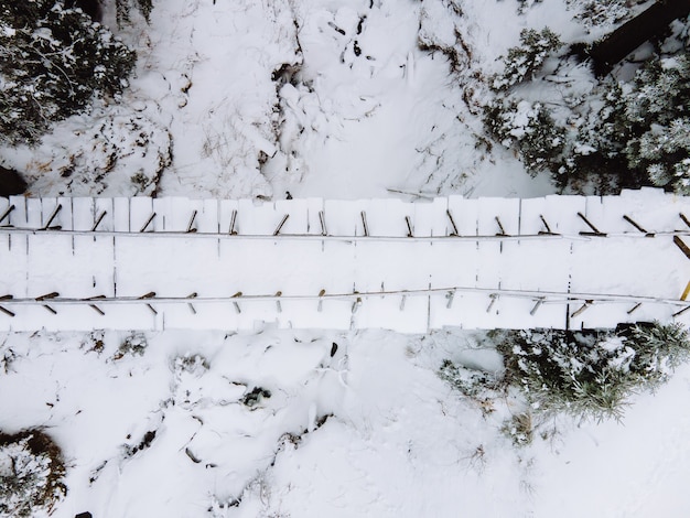 Vue de dessus du pont enneigé dans l'espace de copie de la forêt