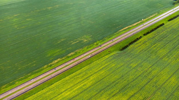 Vue de dessus du vert semé en Biélorussie.Agriculture en Biélorussie.Texture.