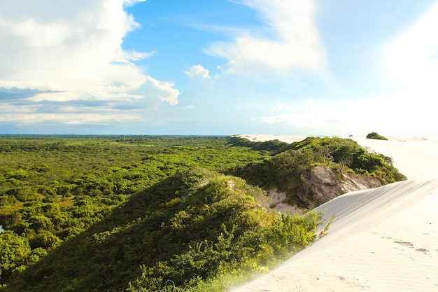 Vue de dessus sur les dunes et la forêt