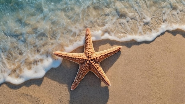 vue de dessus étoile de mer sur fond de plage de sable