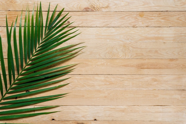 Vue de dessus de feuille de palmier sur table en bois