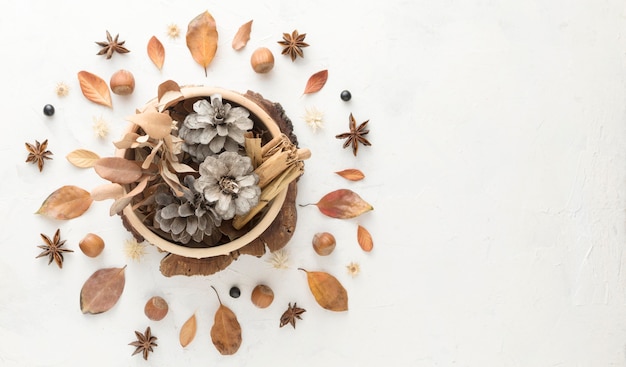 Vue de dessus des feuilles d'automne avec des pommes de pin et de l'espace de copie