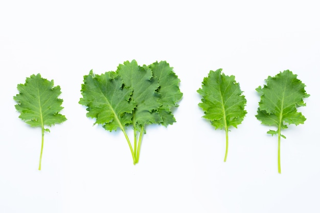 Vue de dessus sur les feuilles de chou frisé isolés