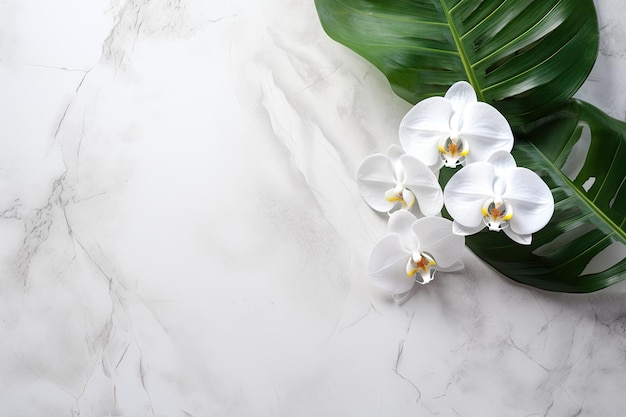 Vue de dessus des feuilles de monstère disposées sur un fond marbré blanc avec spa et massages