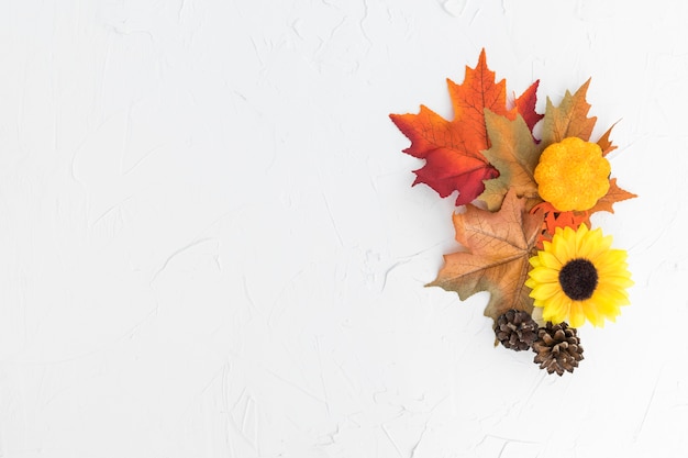 Vue de dessus avec feuilles et tournesol